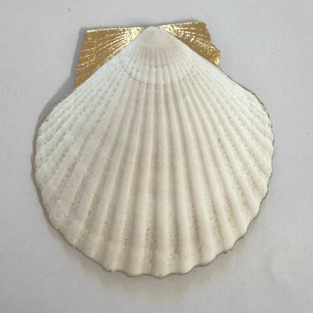 Hummingbird Scallop Shell Jewelry Dish