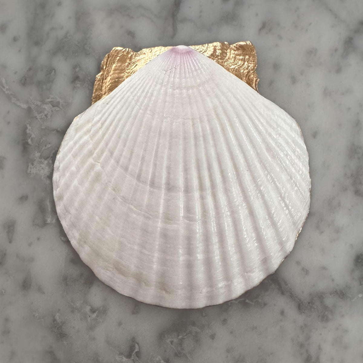 Lemon Scallop Shell Trinket Dish, Blue and Yellow Ring Dish, Italian Kitchen Decor, Hostess Gift, Housewarming Gift for Her