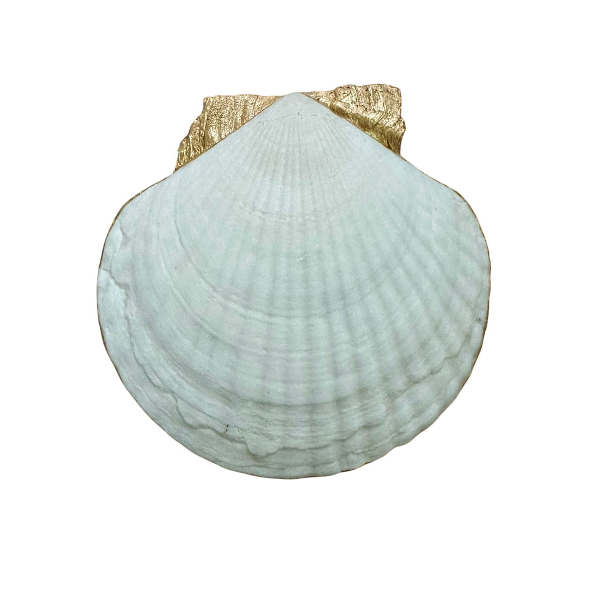 Magenta Toile Scallop Shell Jewelry Dish