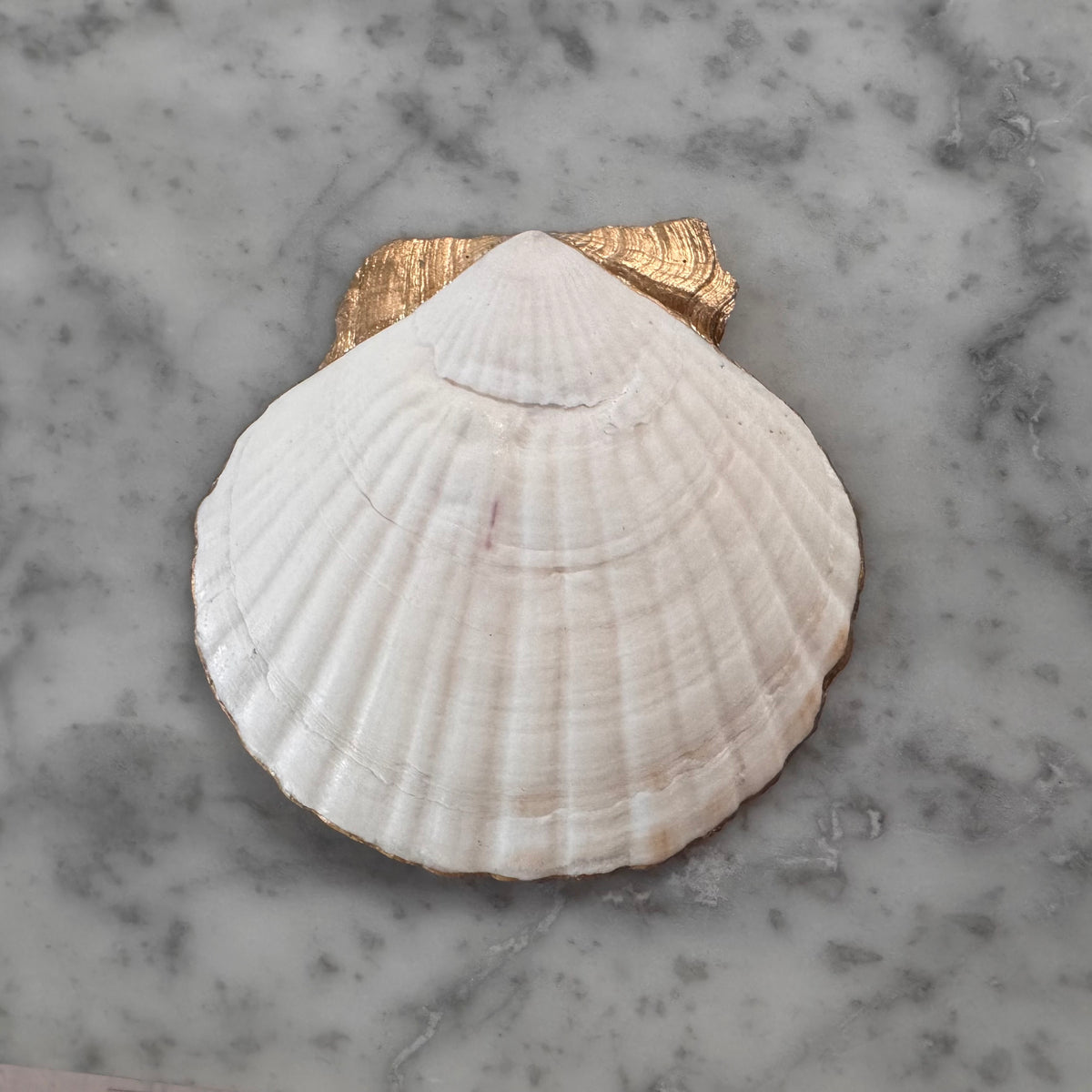 Fruit & Botanical Garden Scallop Shell Ring Dish