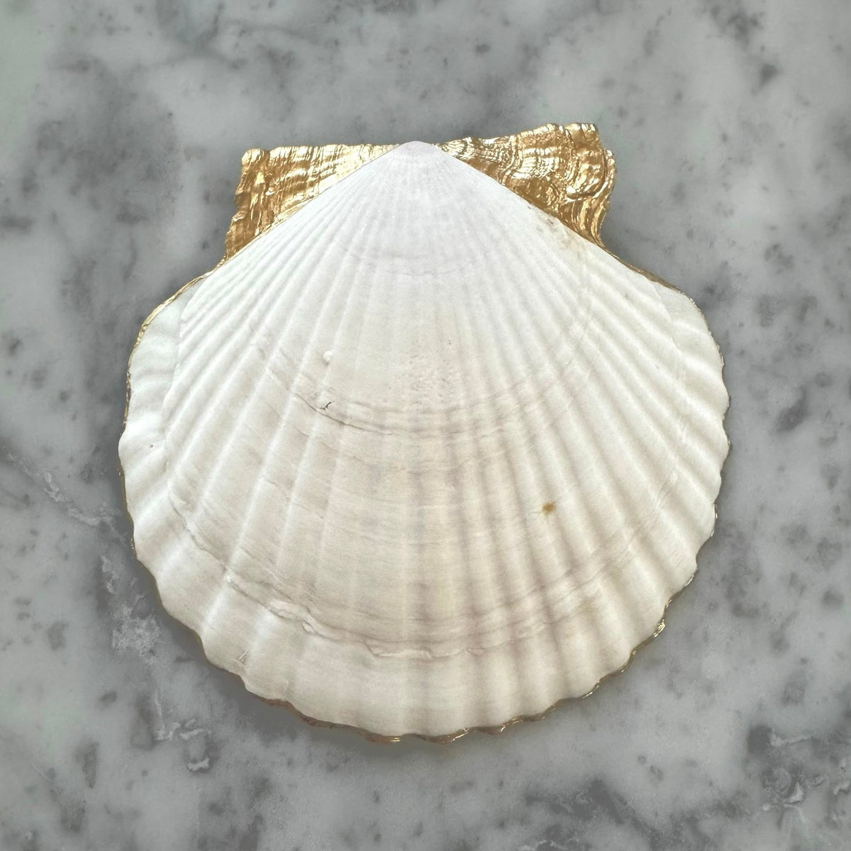 Blue & White Ginger Jar Shell Trinket Dish