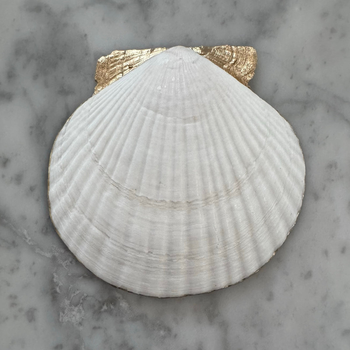 Blue Watercolor Botanical Scallop Shell Jewelry Dish