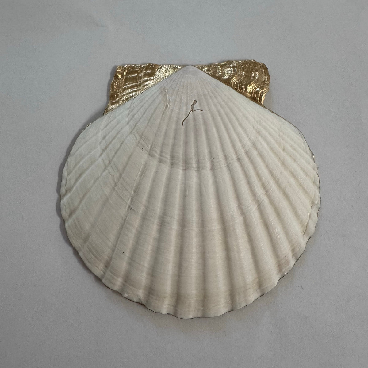 Cowboy Boot Shell Ring Dish Handmade Scallop Trinket Dish, Western Gift Country Girl