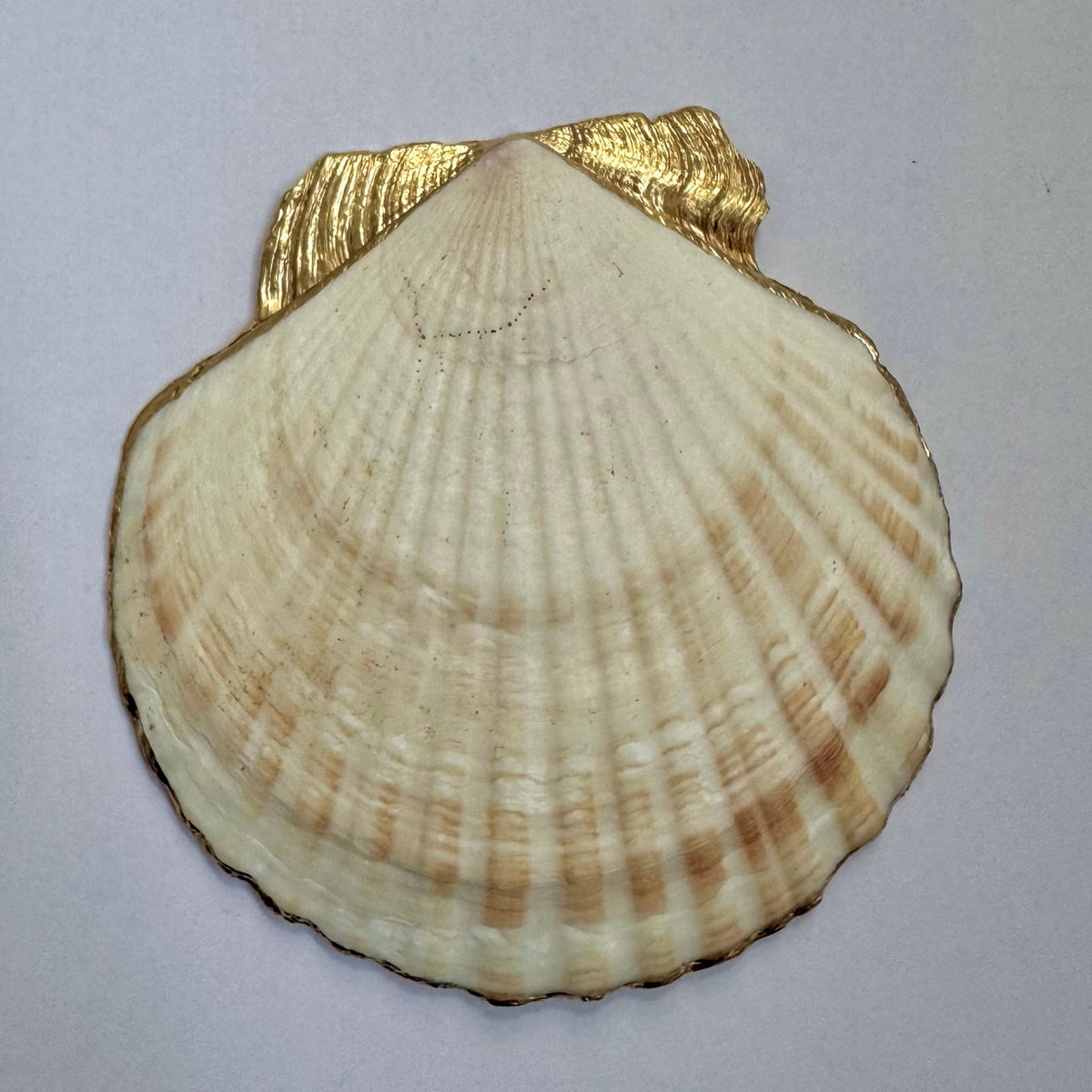 Teal Blue Vine Scallop Shell Ring Dish