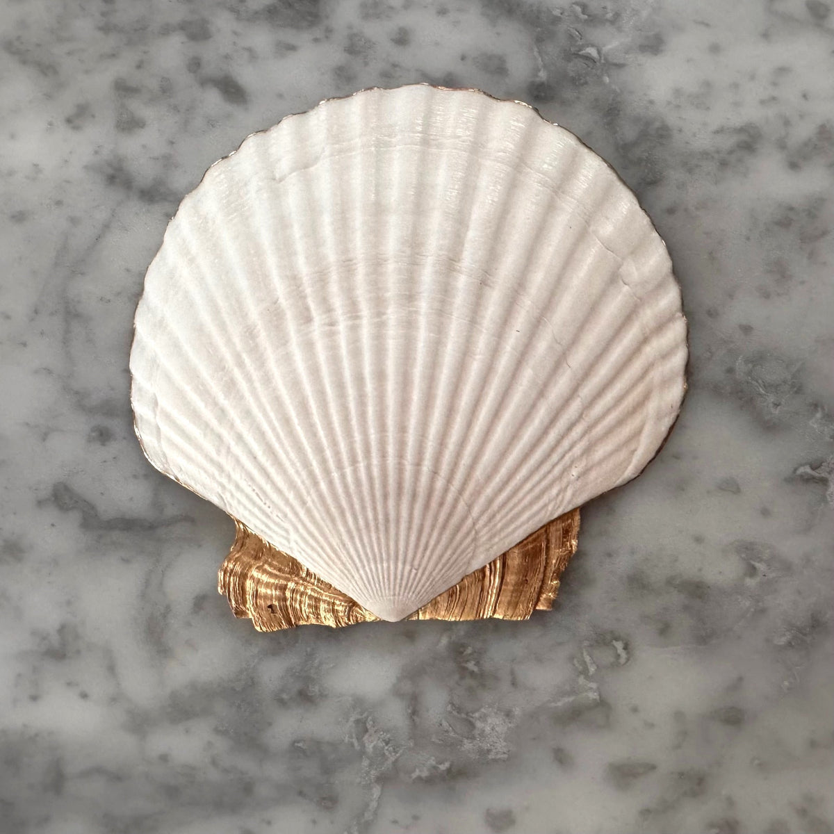 SICILIAN LEMON - Blue Tile & Lemon Blossom Scallop Shell Trinket Dish, Ring Dish, Italian Decor, Hostess Gift, Housewarming Gift for Her