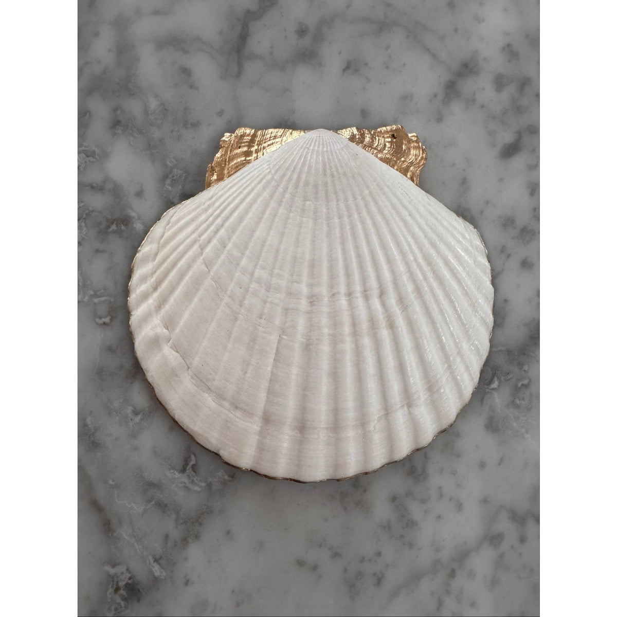 Pink Orchid Scallop Shell Trinket Dish, Gold Rim, Botanical Vanity Decor