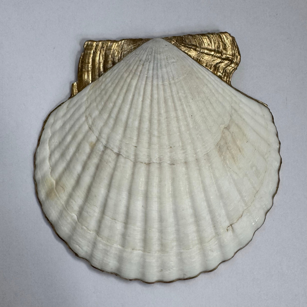 Maximalist Chinoiserie Floral Shell Ring Dish