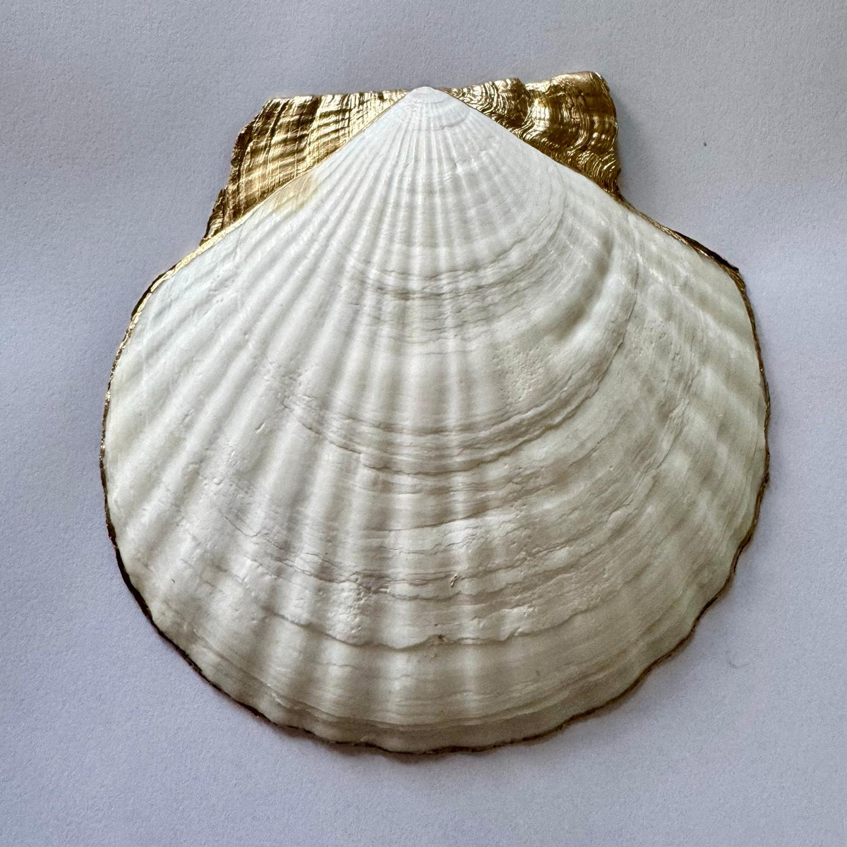 Nautical Lighthouse Scallop Shell Trinket Dish
