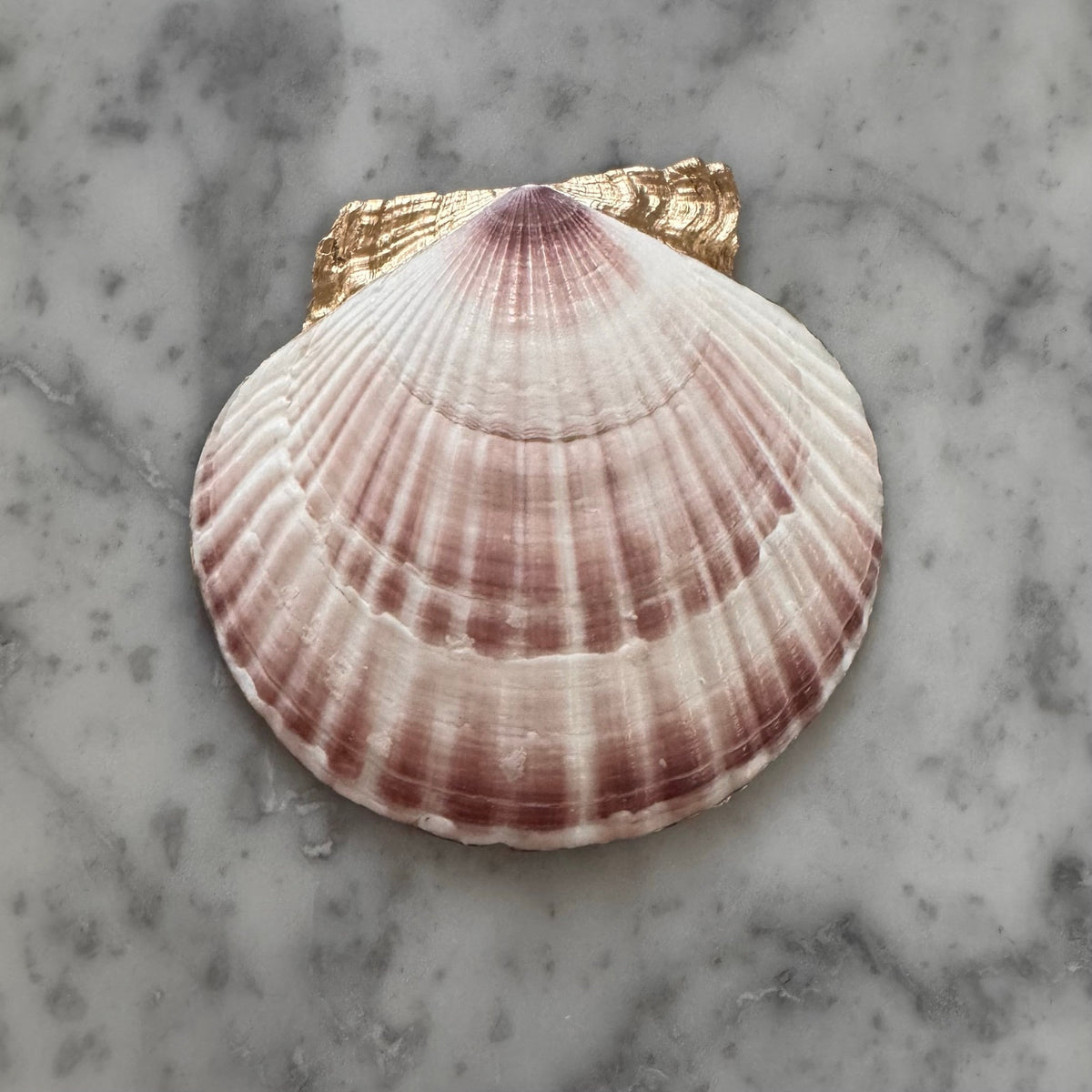 Navy Rose Scallop Shell Trinket Dish, Blue and White Ring Dish, Grandmillennial Decor, Something Blue, Bridesmaid Gift