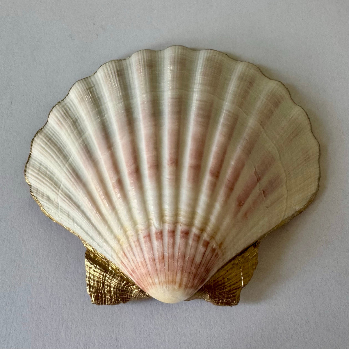 Pink Rose & Monarch Butterfly Scallop Shell Ring Dish