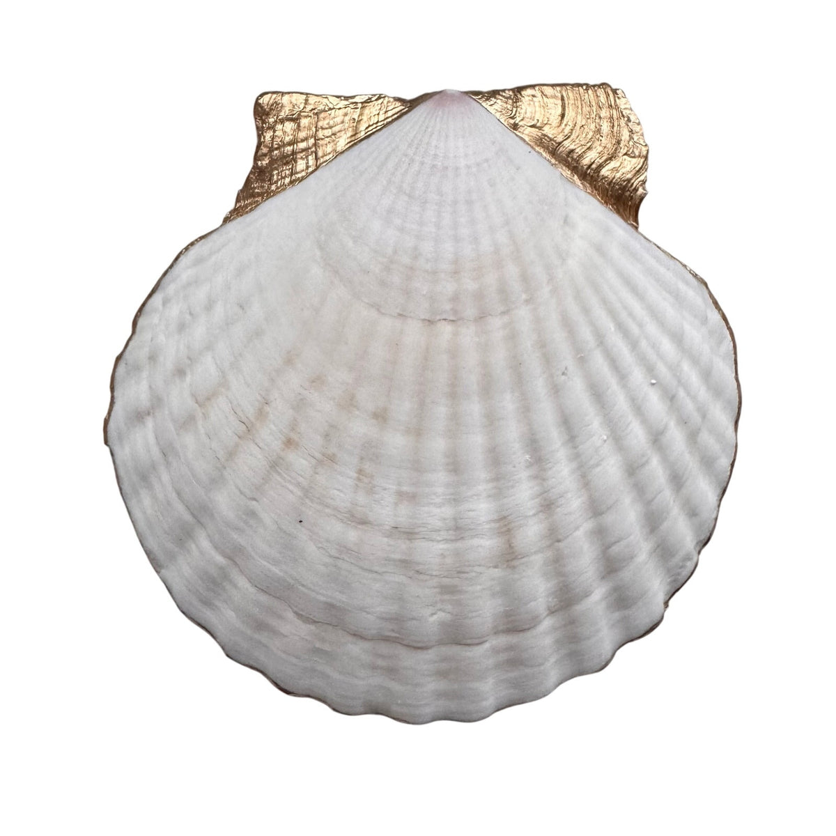 Mahjong Tile Scallop Shell Trinket Dish