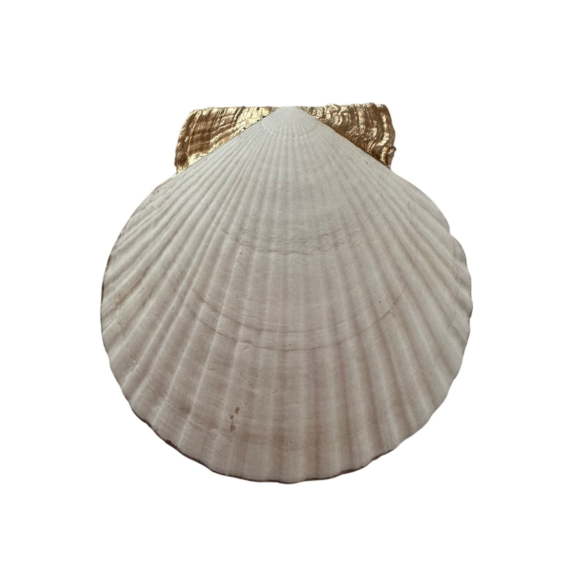 Vintage Songbird Botanical Scallop Shell Jewelry Dish