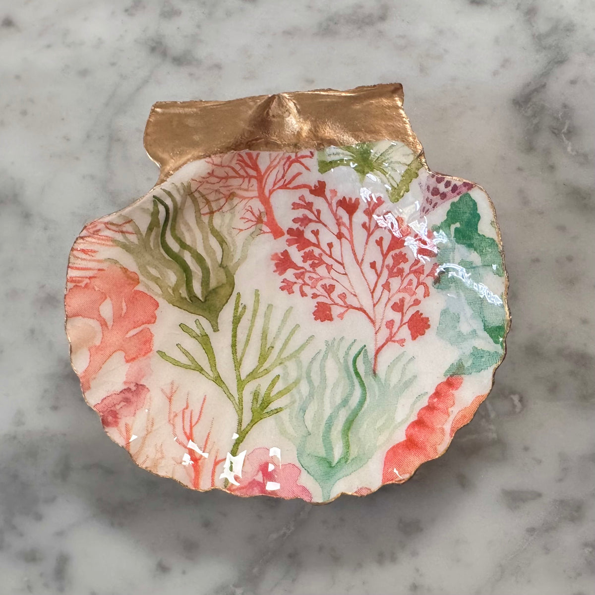 Coral Reef Botanical Scallop Shell Trinket Dish