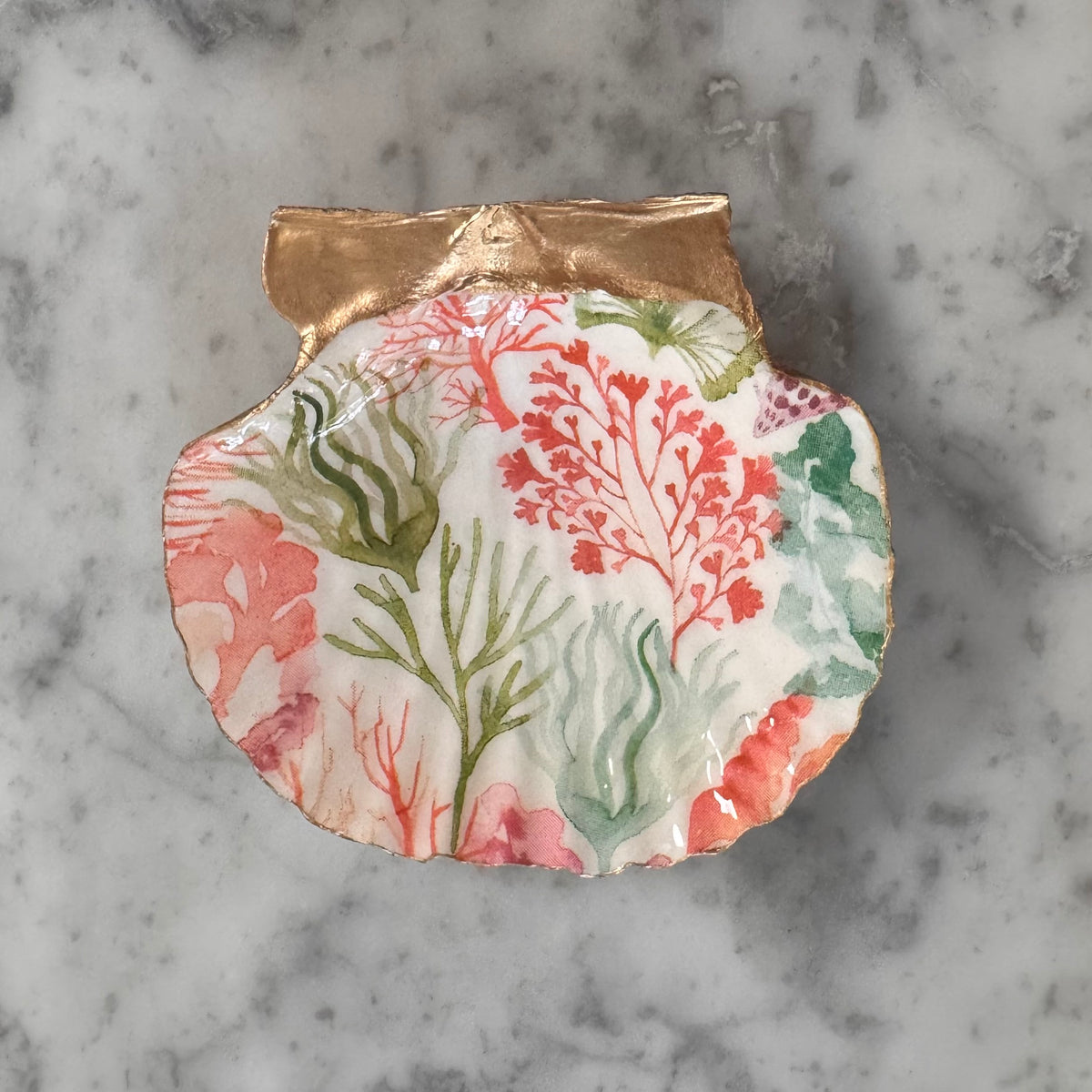 Coral Reef Botanical Scallop Shell Trinket Dish