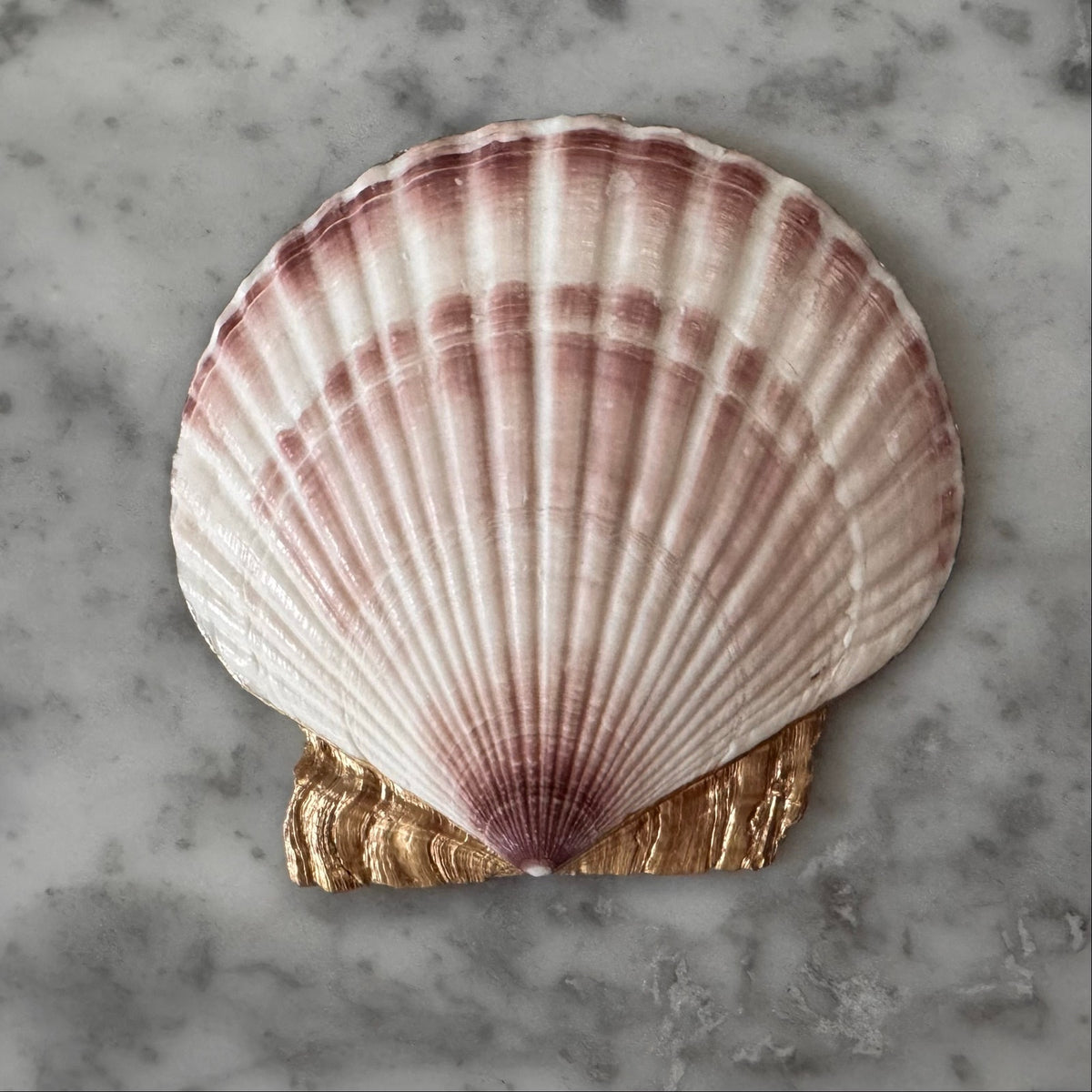 Navy Rose Scallop Shell Trinket Dish, Blue and White Ring Dish, Grandmillennial Decor, Something Blue, Bridesmaid Gift