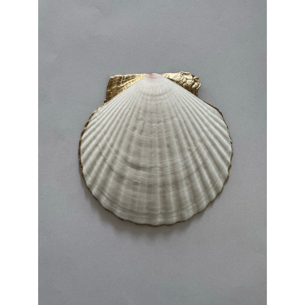 Additional view of green fern botanical shell trinket dish