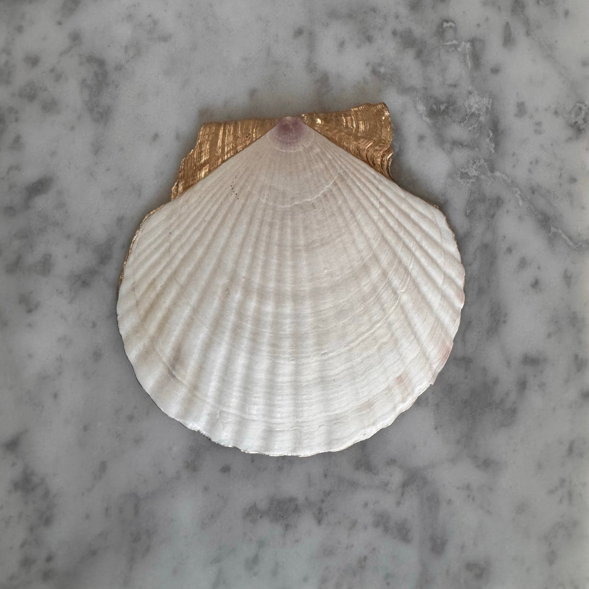 Daffodil Shell Trinket Dish, Watercolor Floral Ring Dish, Gold Edge Ring Dish