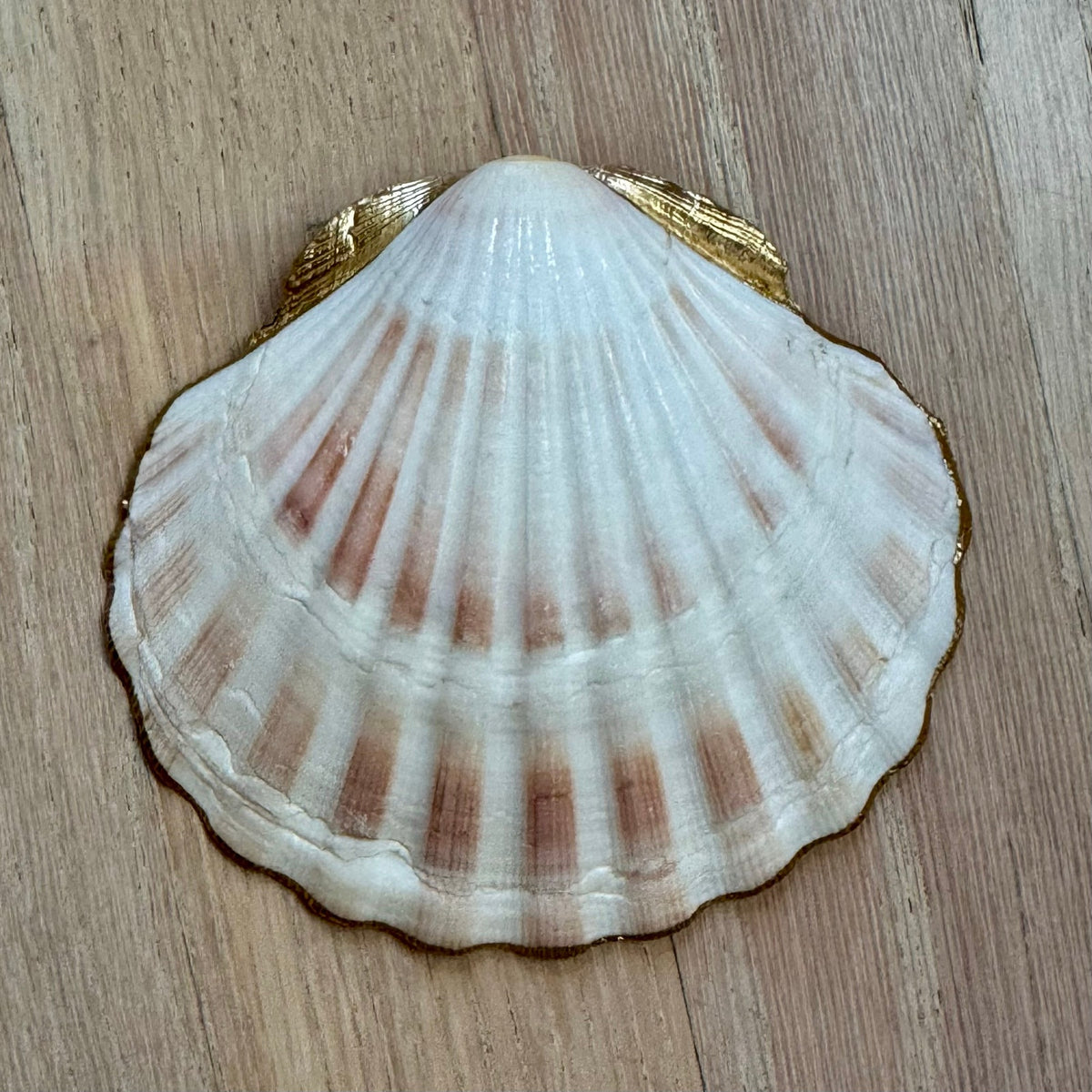 Italian Summer Orange Scallop Shell Jewelry Dish
