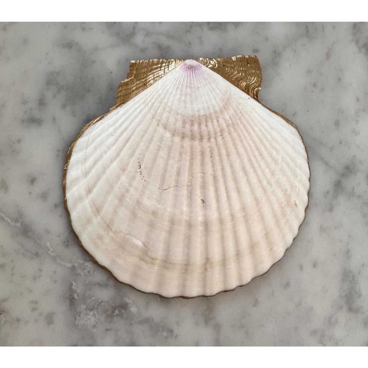 Charleston Rainbow Row Scallop Shell Ring Dish
