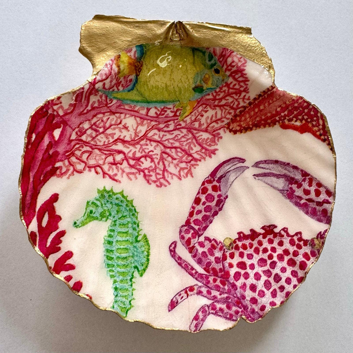 Coral Reef Sea Life Scallop Shell Jewelry Dish