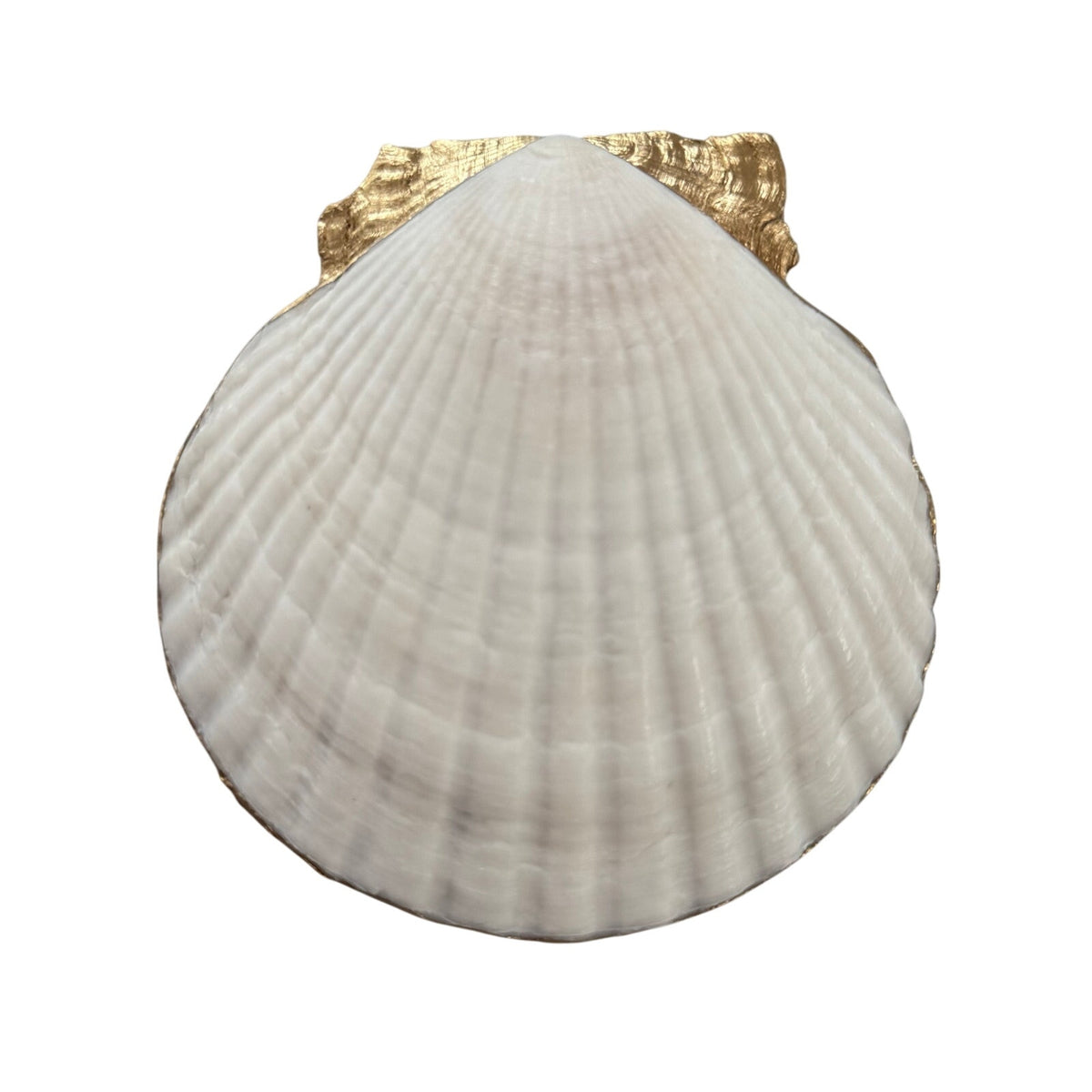 Blue & White Chinoiserie Scallop Shell Ring Dish