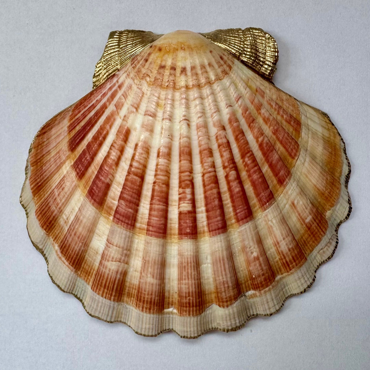 Vintage Coral Pink Rose Scallop Shell Trinket Dish