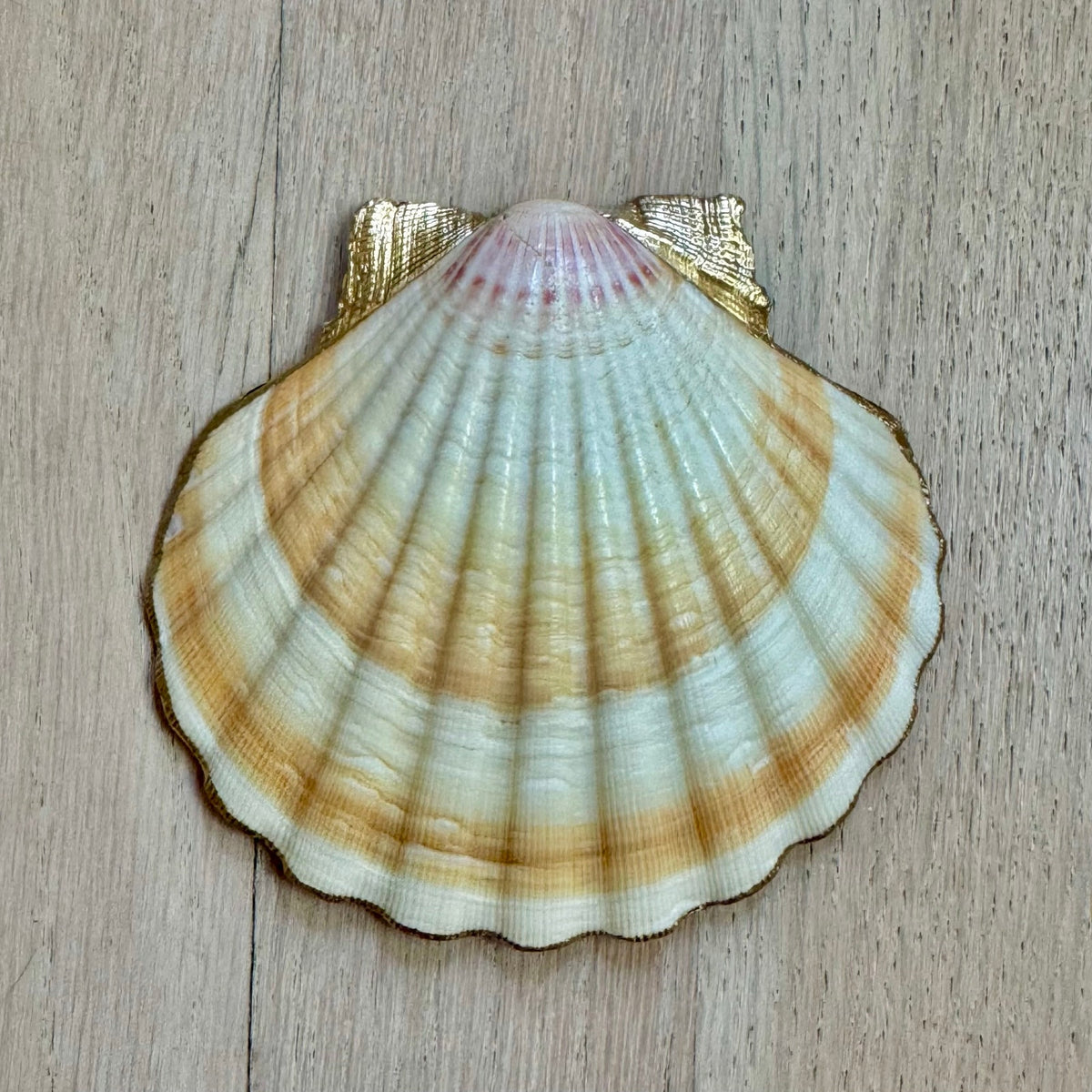 Blue Chinoiserie Floral Shell Jewelry Dish